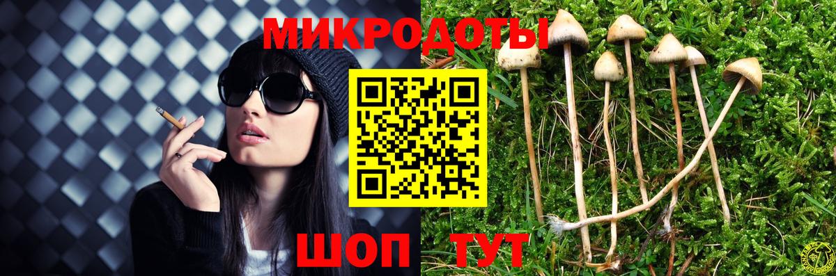 Галлюциногенные грибы Psilocybine cubensis Городец