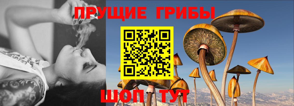 Псилоцибиновые грибы мухоморы  Псилоцибиновые грибы прущие грибы  Вход с VPN  Городец 